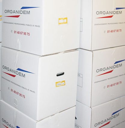 Organidem Carton de déménagement